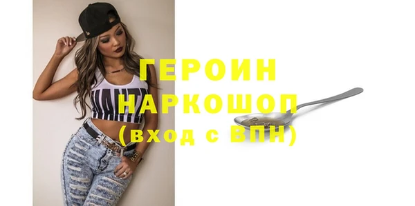 шишки Ельня