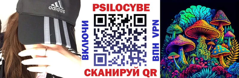 Псилоцибиновые грибы Psilocybine cubensis  Астрахань 